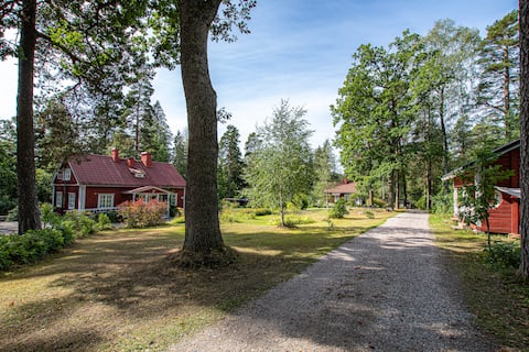 Villa Tammikko, space and atmosphere in the middle of the forest