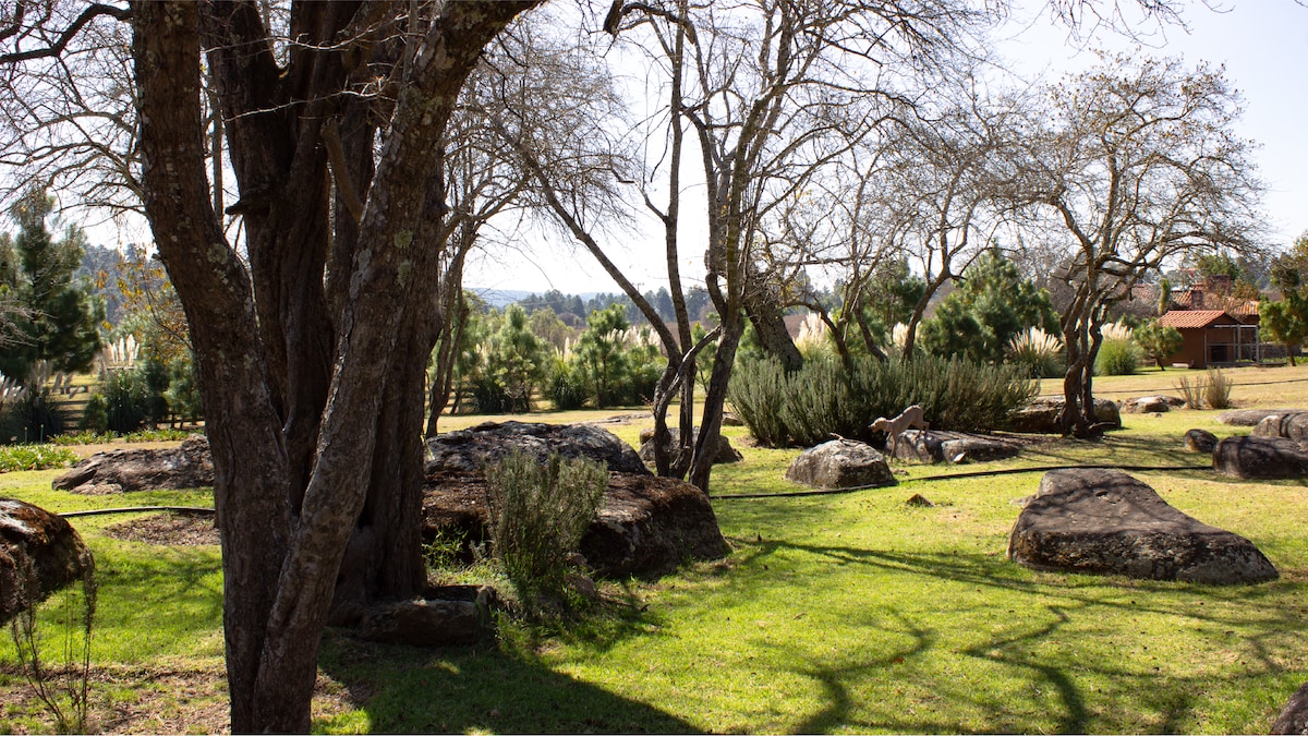 A serene natural landscape is featured, showcasing a grassy area dotted with large rocks and leafless trees. Background greenery is visible, along with hints of a rustic building, providing a soothing connection to the surrounding nature.