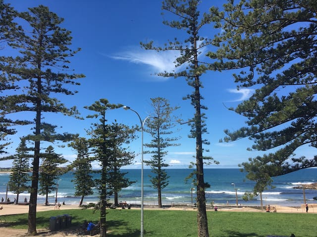 Entire Beachfront Luxury Apartment – THE STRAND