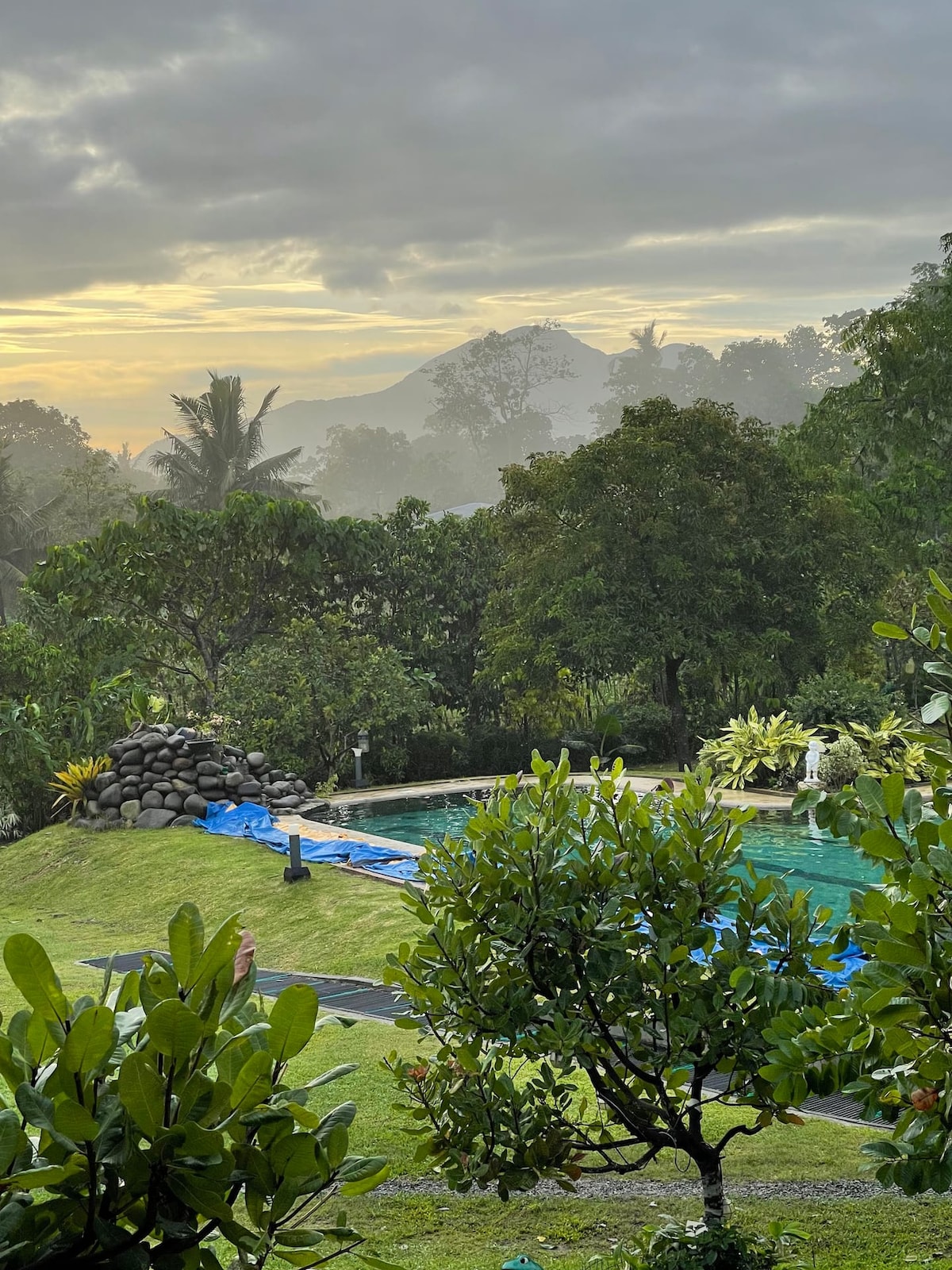 An inviting lap pool is surrounded by lush green gardens and tropical trees. Scenic hills can be seen in the background, partly shrouded in mist. Soft morning light casts a serene glow over the landscape, creating a tranquil ambiance.