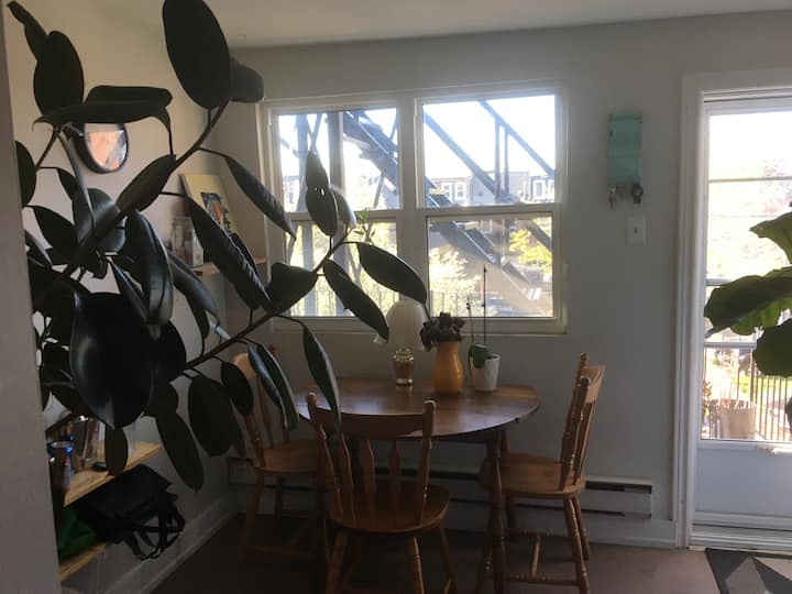 Lovely Private Room In Little Italy - Toronto