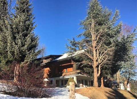 Gorgeous Chalet Apartement with great view