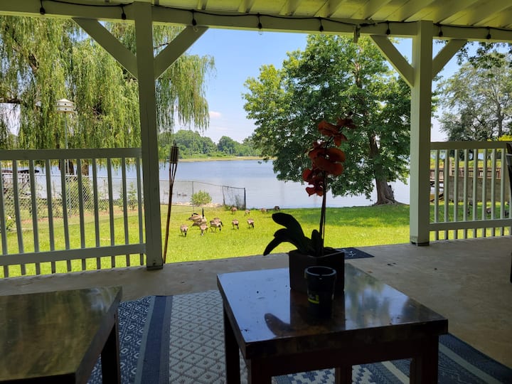 Horseshoe Lake Cabins Cabins and More Airbnb