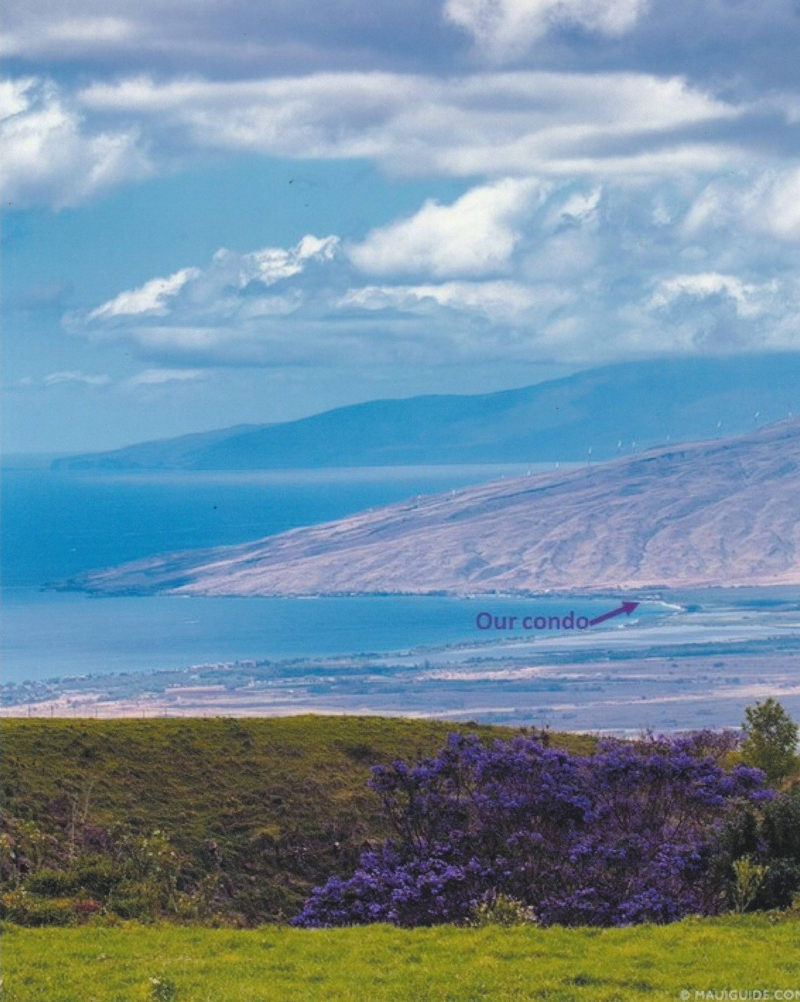 Condo in Kihei · ★4.85 · 1 bedroom · 2 beds · 2 private baths - Image 26