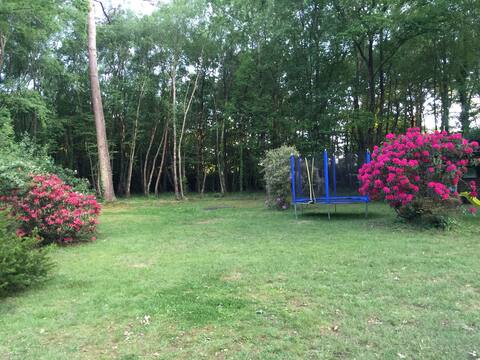 Villa 220m2 on 4500m2, forest 9 km from the beaches