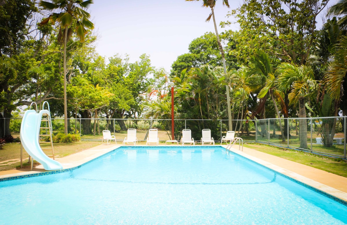 A large outdoor swimming pool is surrounded by a lush green landscape, featuring palm trees and various plants. Three loungers are positioned on the deck beside the pool, which is complemented by a water slide for added enjoyment.