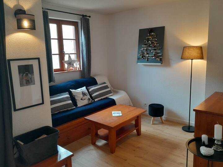 Duplex Terrasse Rénové 4-6pers,proche Télécabine - Cauterets