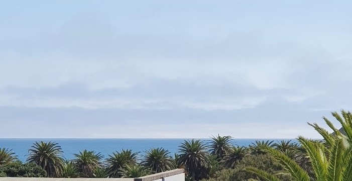 A serene view of the ocean is captured, framed by lush palm trees. The clear blue sky meets the calm waters, creating a tranquil atmosphere. The natural landscape suggests a peaceful coastal environment, ideal for relaxation.