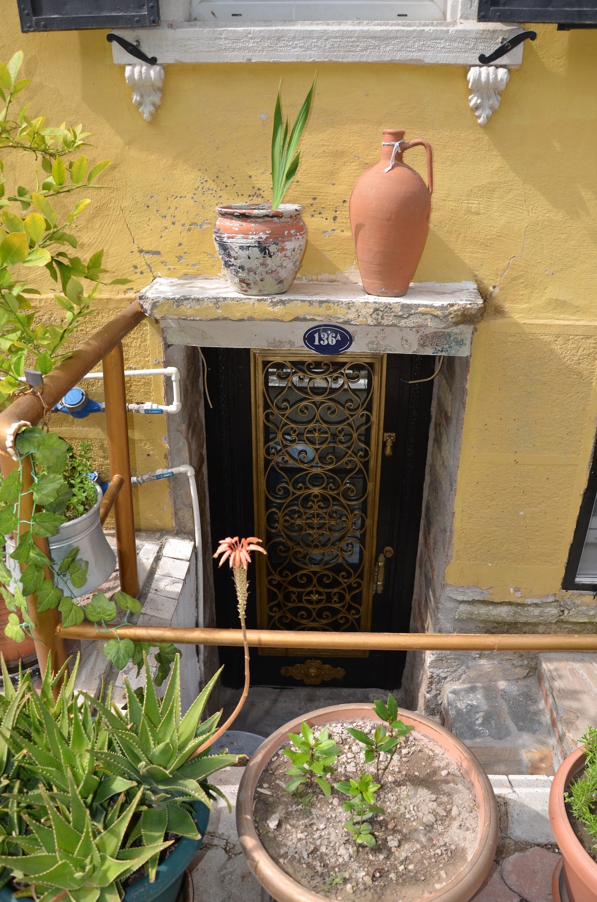 An entrance to the studio apartment is framed by decorative plants in pots. A golden-hued wall is adjacent to the door, featuring ornate metalwork. A traditional clay pitcher and a potted plant are positioned on the ledge above, enhancing the welcoming ambiance of the space.