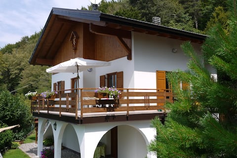 Chalet in the woods with lake and breathtaking views