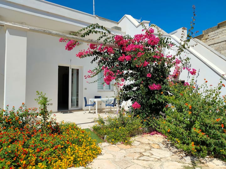 Blue Reef Puglia: Il Corallo - Giovinazzo