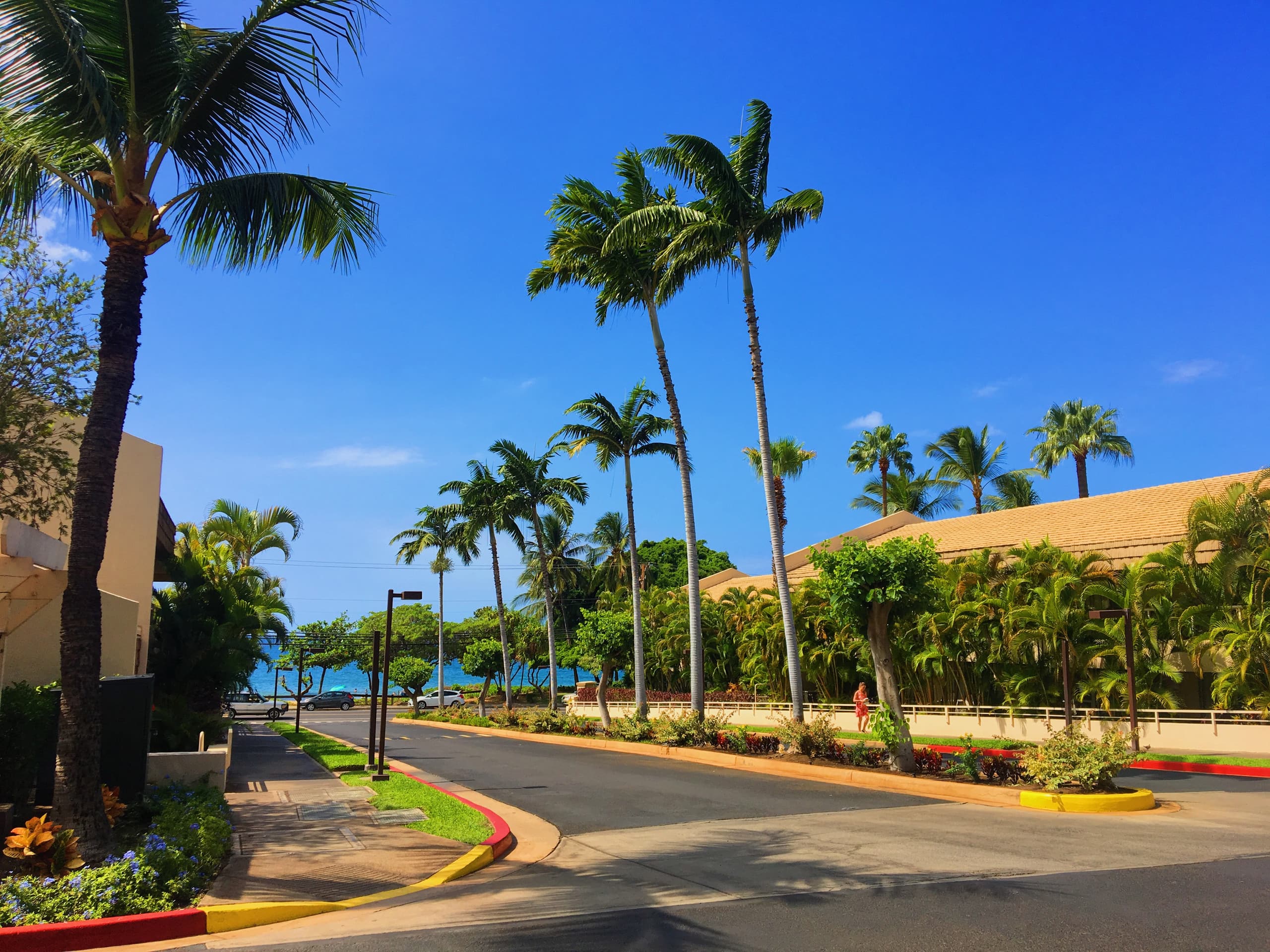 Condo in Kihei · ★4.87 · 1 bedroom · 1 bed · 1 bath - Image 14