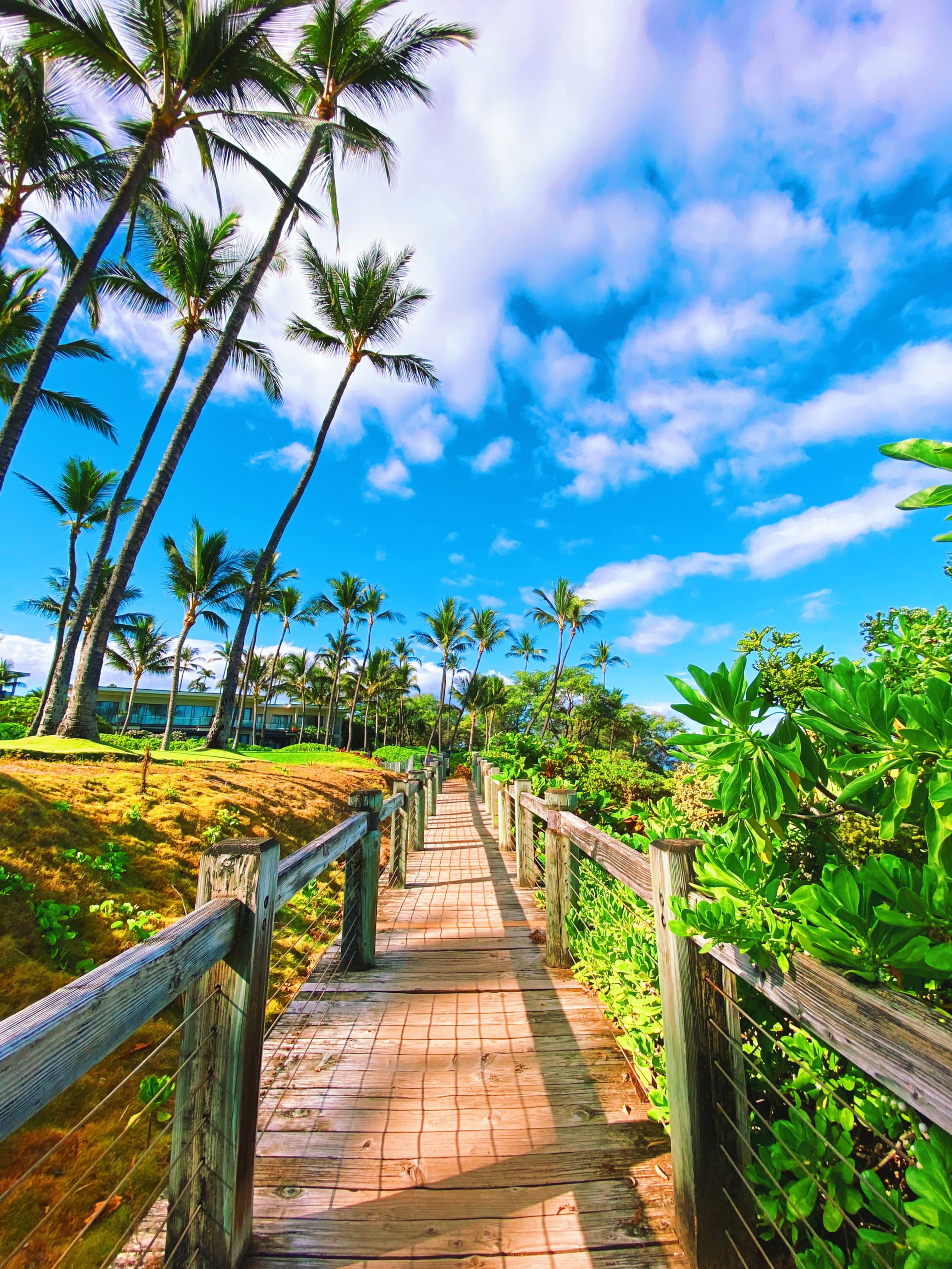 Condo in Kihei · ★4.87 · 1 bedroom · 1 bed · 1 bath - Image 20