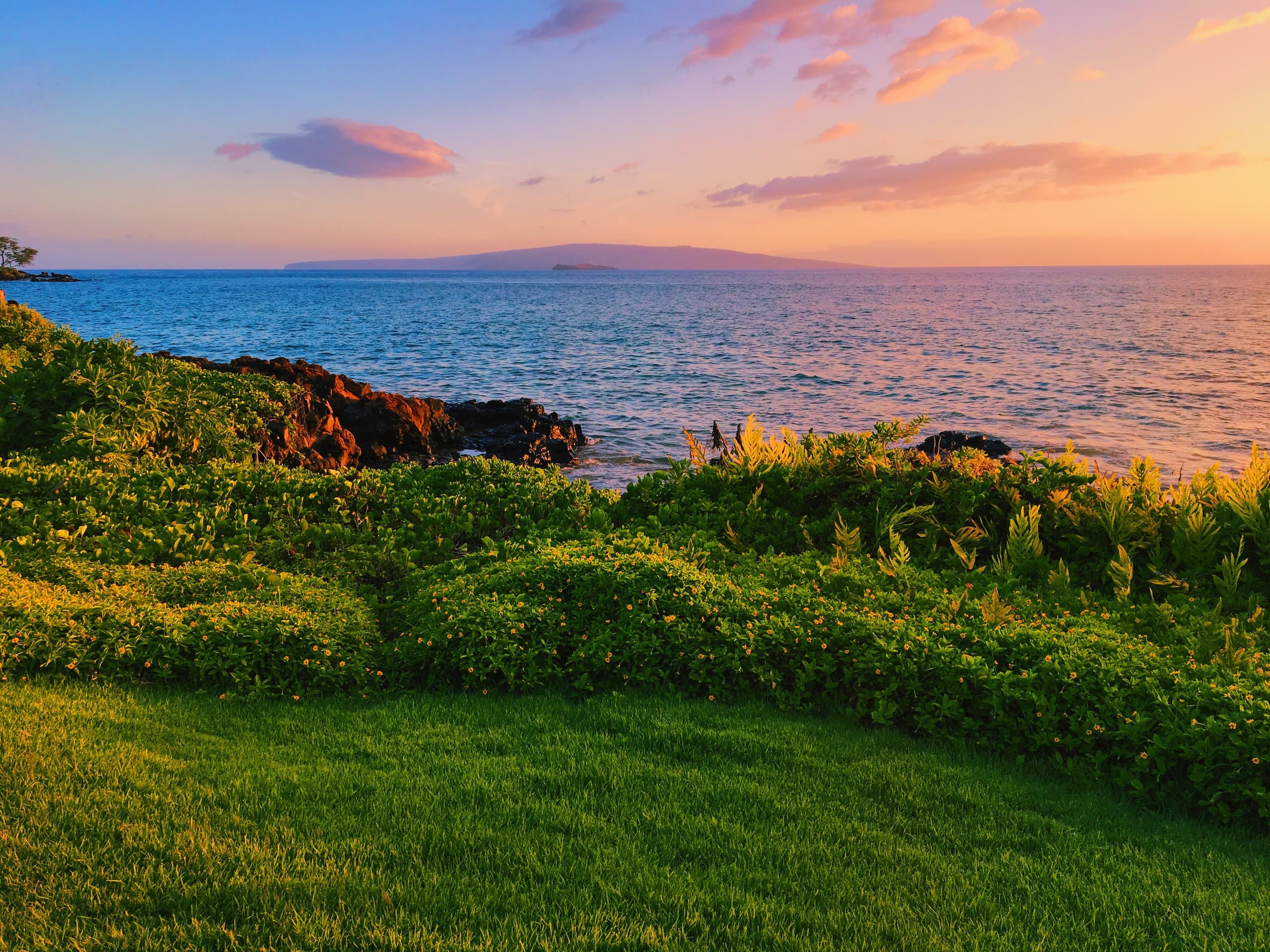 Condo in Kihei · ★4.87 · 1 bedroom · 1 bed · 1 bath - Image 18