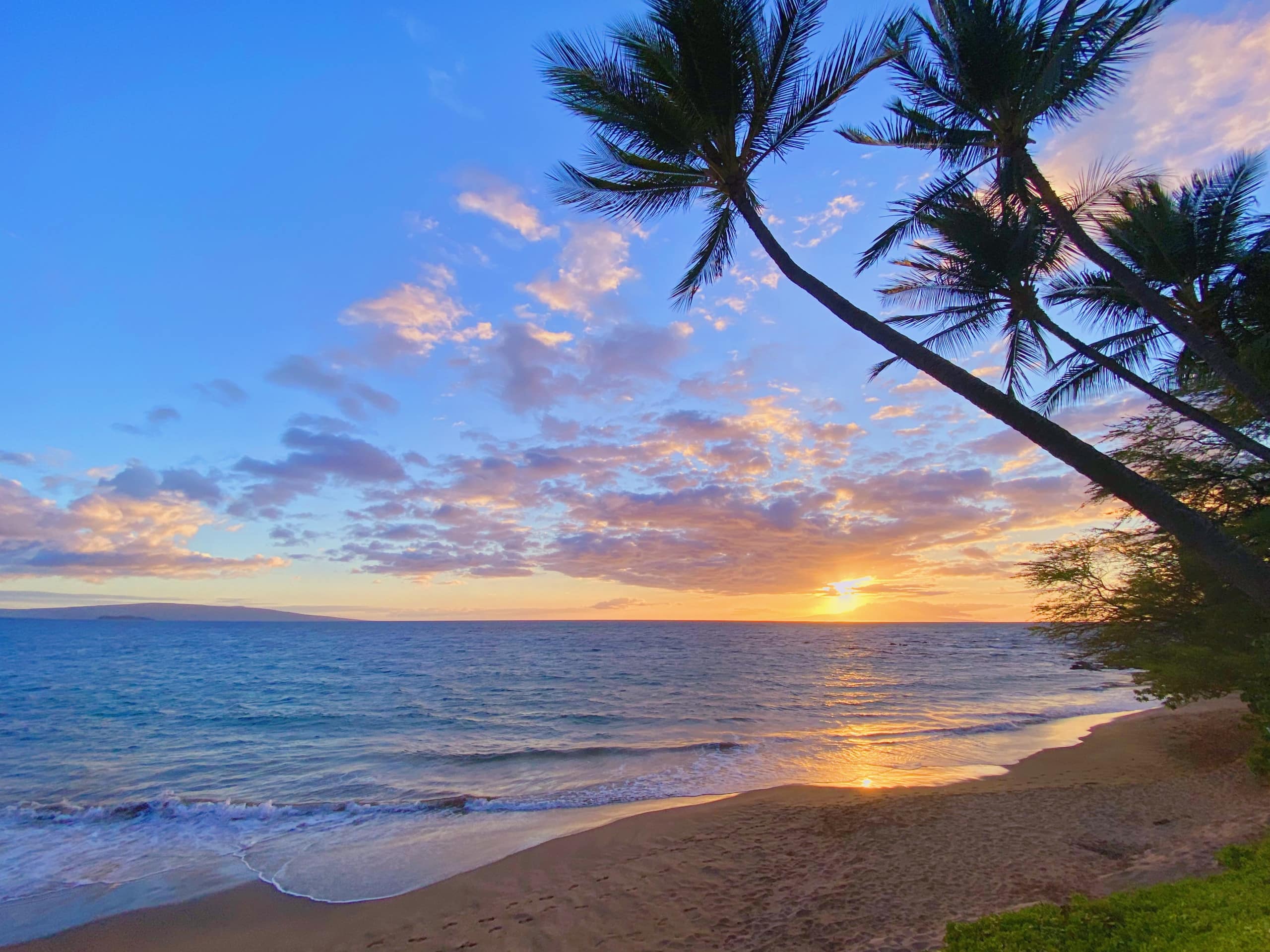 Condo in Kihei · ★4.87 · 1 bedroom · 1 bed · 1 bath - Image 6
