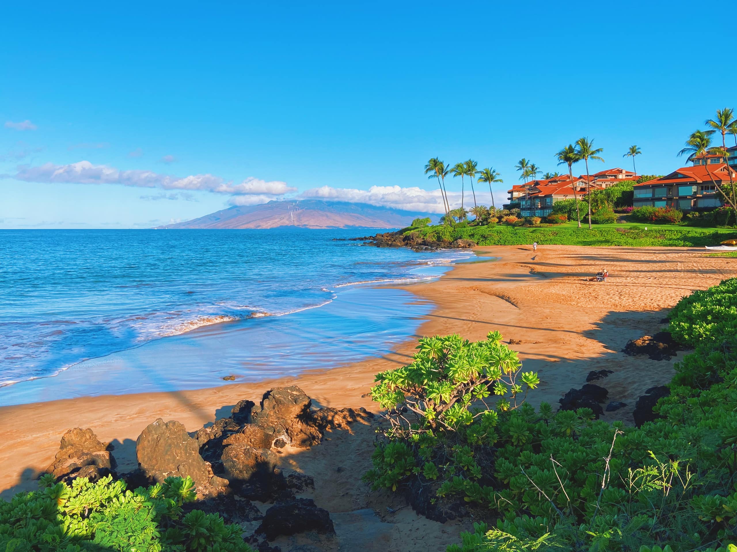 Condo in Kihei · ★4.87 · 1 bedroom · 1 bed · 1 bath - Image 7