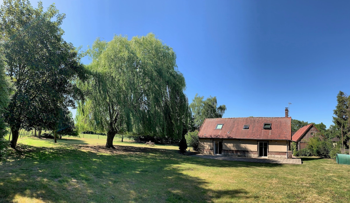 A spacious cottage is viewed from a distance, surrounded by lush greenery and large trees. A clear blue sky complements the tranquil outdoor setting, while the landscaped yard offers ample open space. The building features a low-pitched roof with skylights, blending into the serene landscape.
