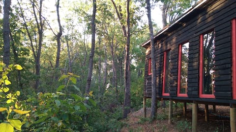 Cozy Refugio in Magico Native Forest