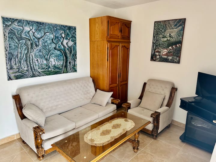 Sebule. Kitanda cha sofa katika kitanda cha ukubwa wa malkia. Kwenye ghorofa ya chini.