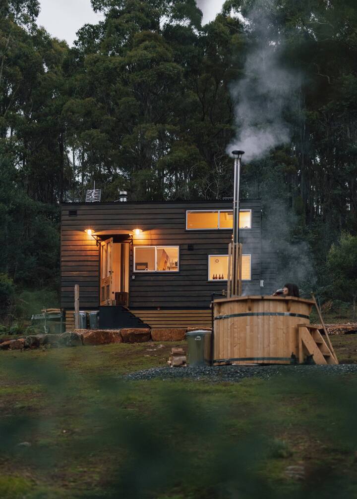 black tiny cabin exterior