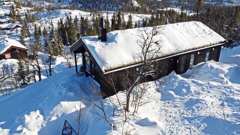 Modern mountain cabin