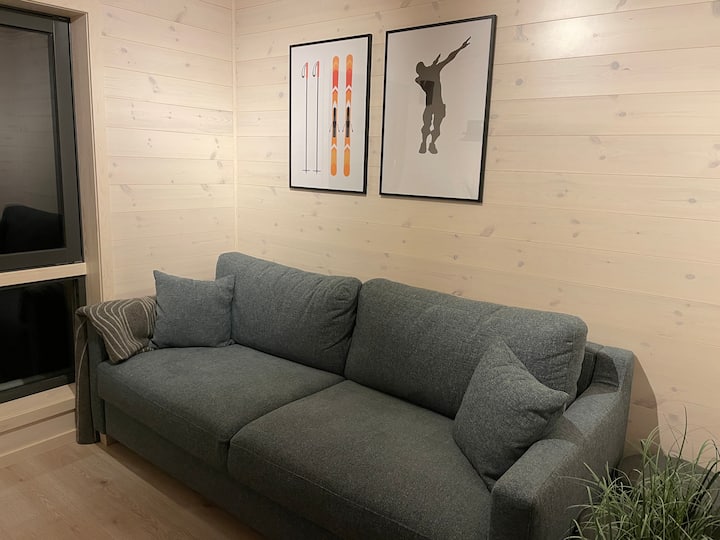 Ukumbi wa televisheni ulio na kitanda cha sofa