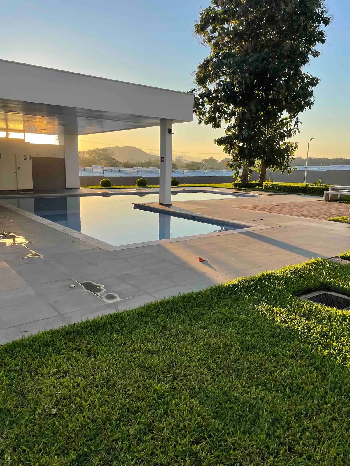 A serene swimming pool is framed by neatly trimmed grass and gentle shadows from nearby trees. The clean, modern design of the surrounding area features white walls and a spacious patio, reflecting the soft morning light on the water's surface.