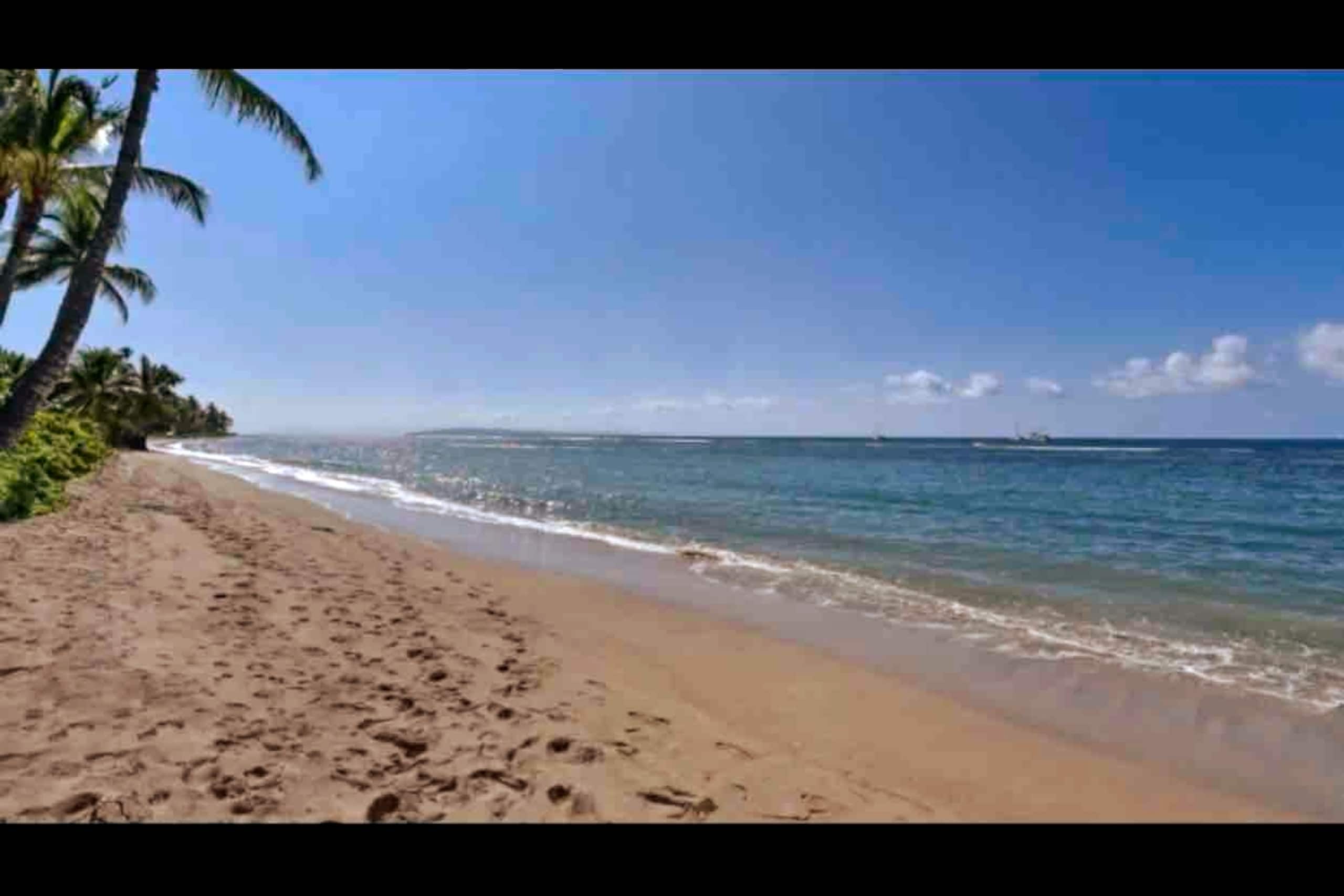 Condo in Lahaina · ★4.95 · Studio · 1 bed · 1 bath - Image 9