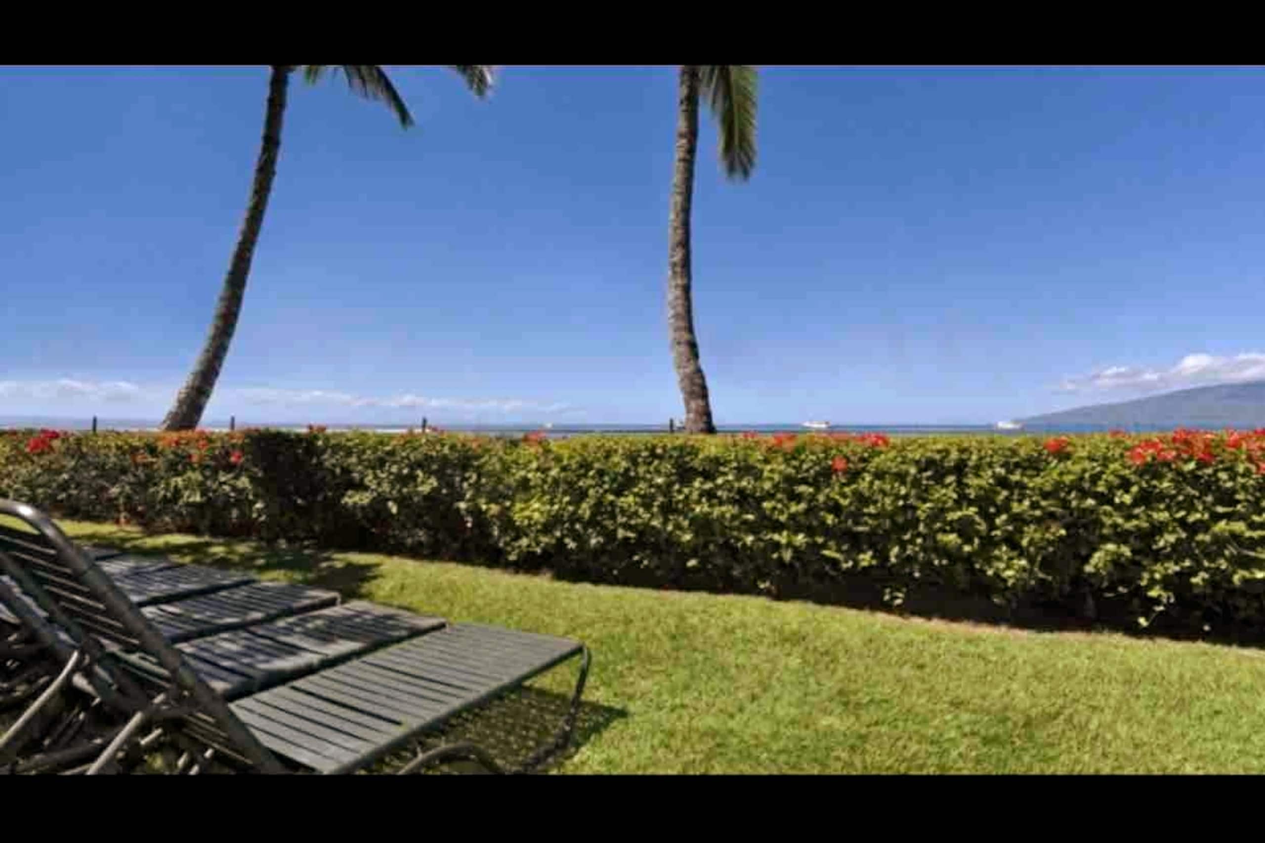 Condo in Lahaina · ★4.95 · Studio · 1 bed · 1 bath - Image 20