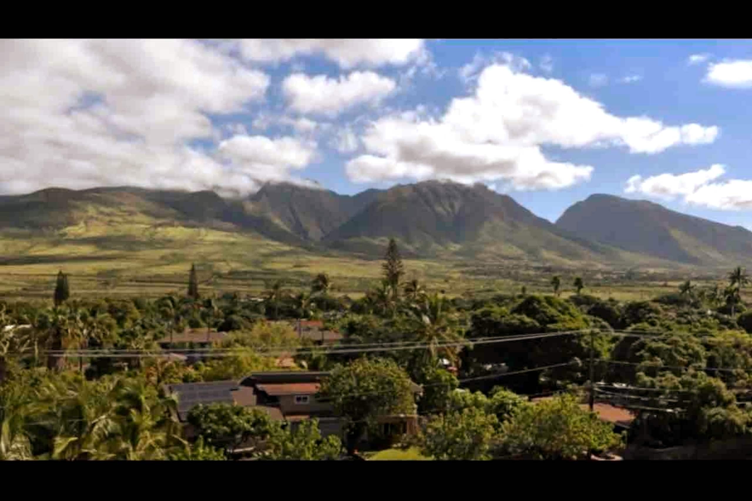 Condo in Lahaina · ★4.95 · Studio · 1 bed · 1 bath - Image 10