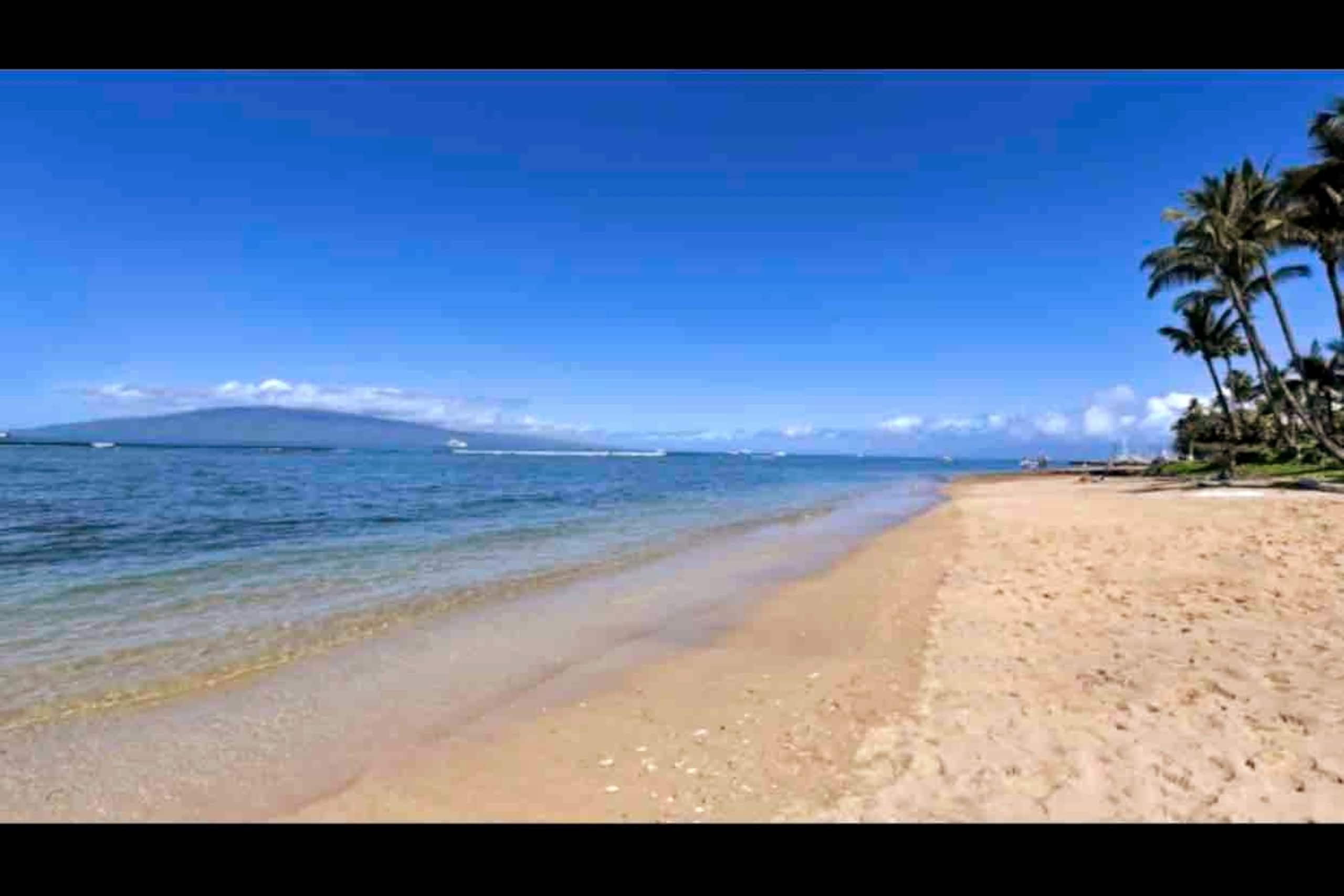 Condo in Lahaina · ★4.95 · Studio · 1 bed · 1 bath - Image 23