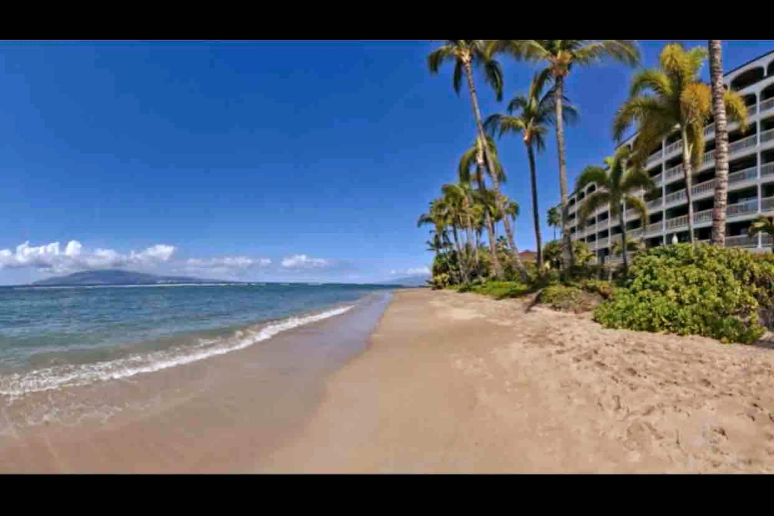 Condo in Lahaina · ★4.95 · Studio · 1 bed · 1 bath - Image 21