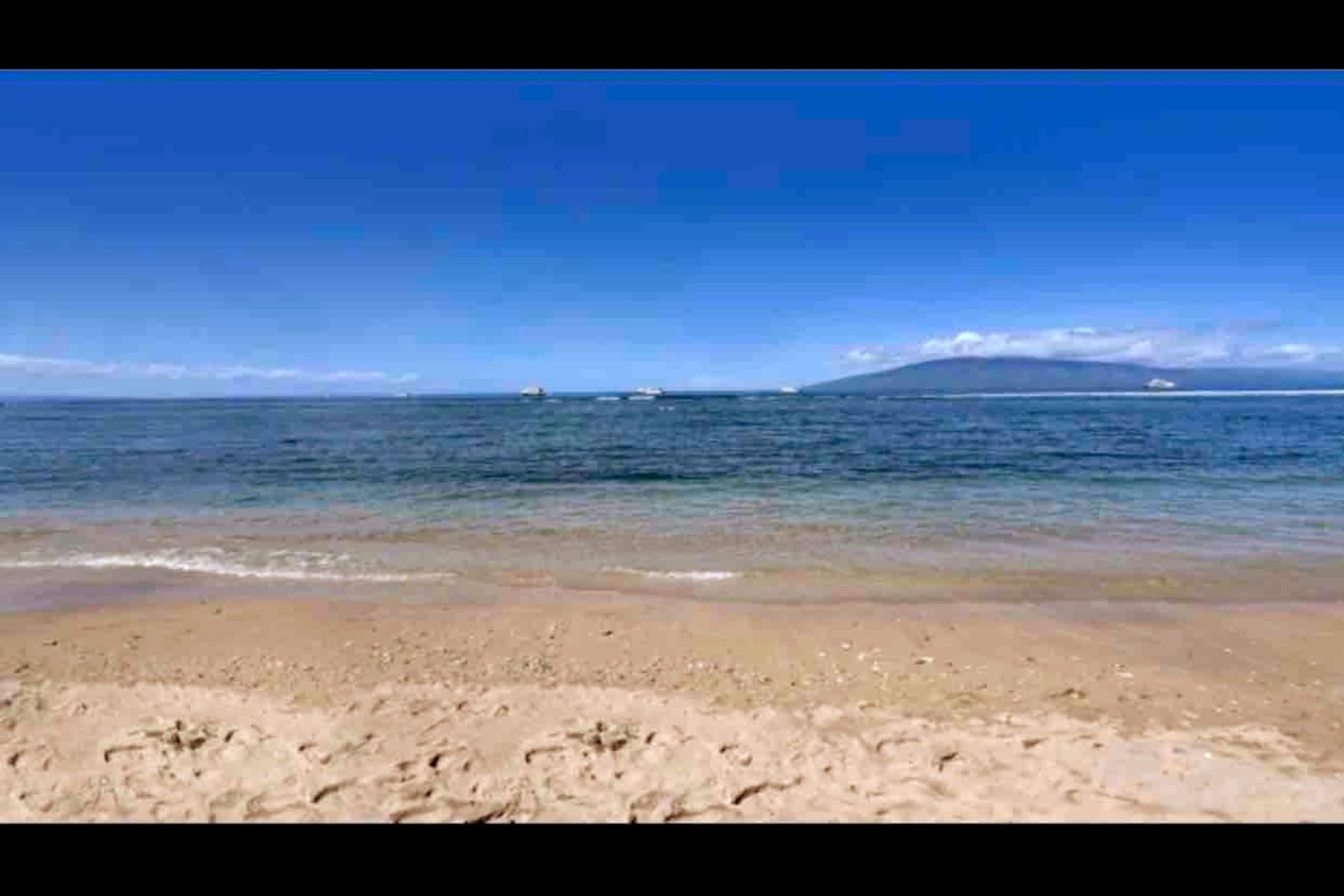 Condo in Lahaina · ★4.95 · Studio · 1 bed · 1 bath - Image 19