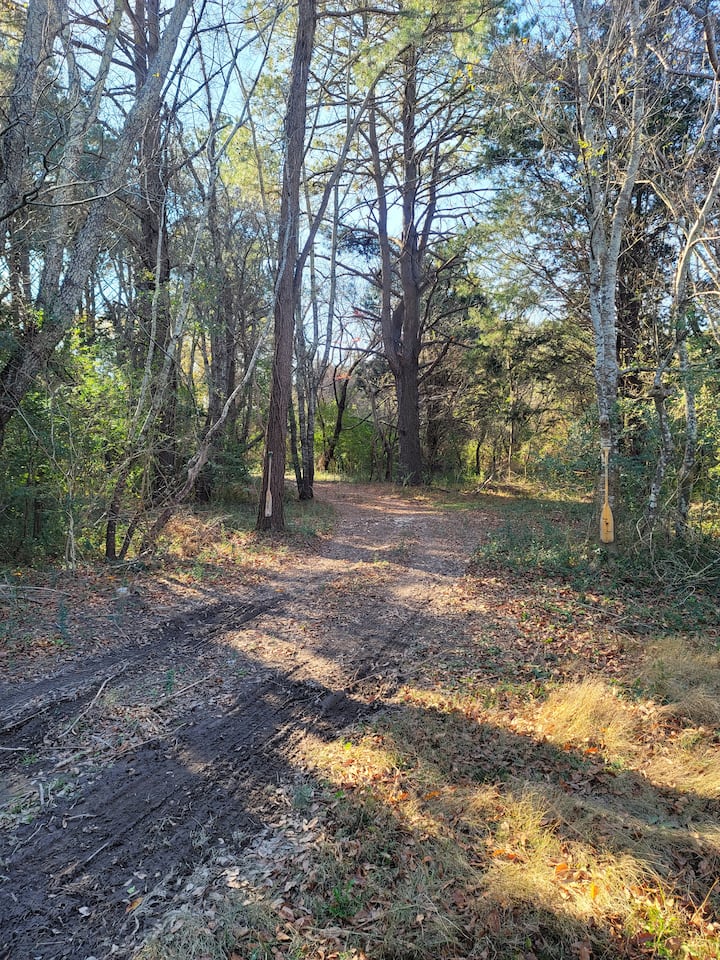 Kiptopeke Holiday Rentals & Homes Virginia, United States Airbnb