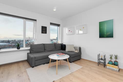 Best View Downtown Reykjavik-with private parking