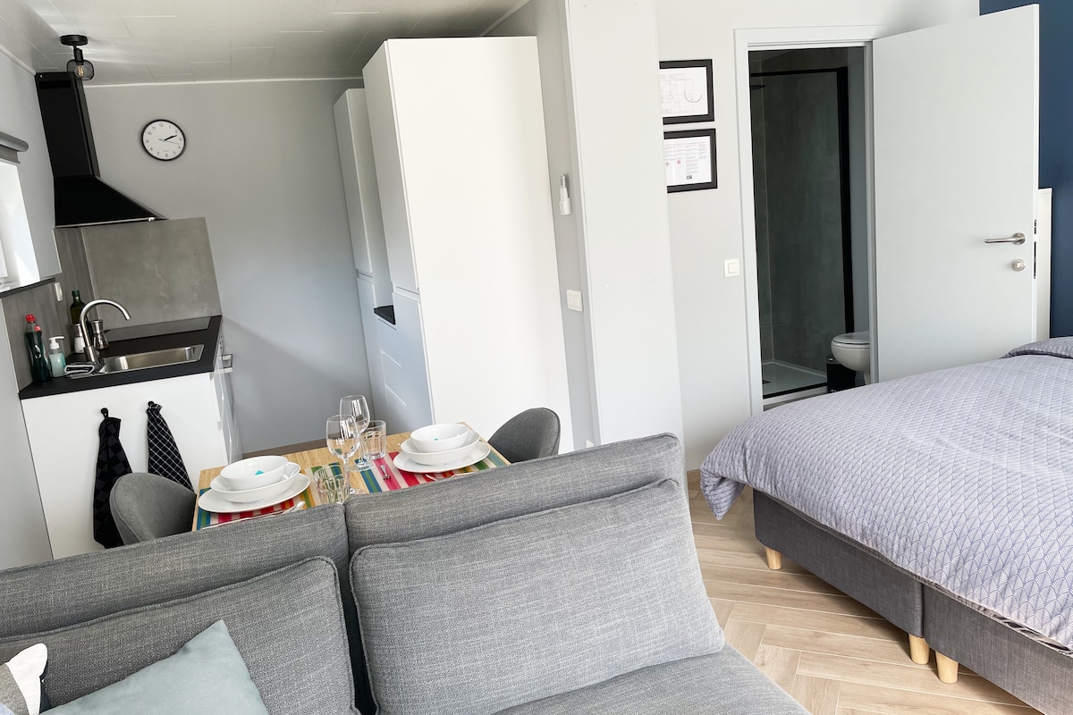 An open living space features a cozy sitting area with a gray sofa, a dining table set for two, and a compact kitchen equipped with modern appliances. A spacious bed is visible in the corner, with an adjoining bathroom behind a door.