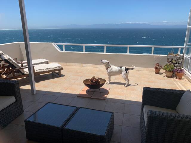 Cape Town, get “Hoeked” on the home with a view gallery image 3