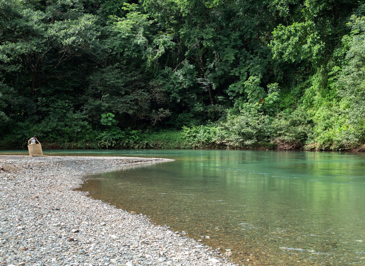 A serene riverbank is depicted, with smooth pebbles lining the water's edge. Lush greenery surrounds the banks, reflecting the vibrant hues of nature. The clear water is calm, gently flowing, inviting a sense of tranquility in the environment.