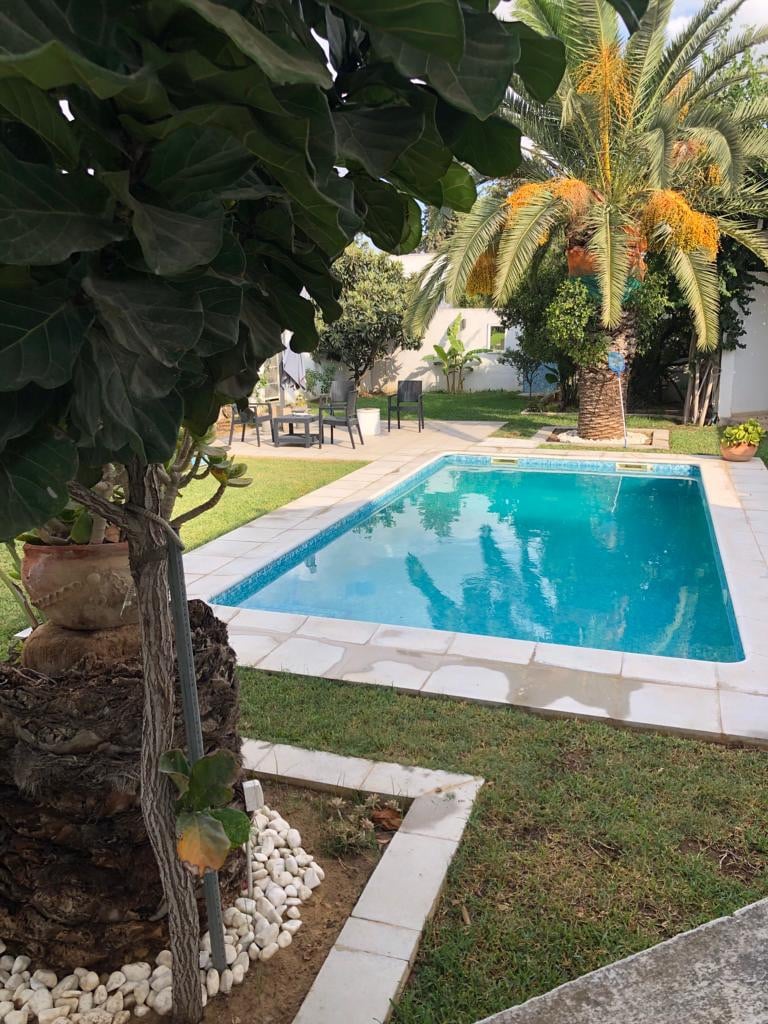 A serene outdoor scene features a clear swimming pool surrounded by neatly maintained grass. Palm trees and greenery provide shade and visual interest, while a seating area is positioned nearby, offering a relaxing space for guests to unwind.