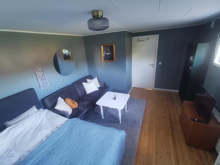 غرفة نوم بسرير 160 وسرير أريكة مصنوع من 120 سم.
يوجد أيضًا تلفزيون ذكي وغلاية كهربائية وميكروويف وثلاجة صغيرة وأكواب/كؤوس/أطباق/أدوات المائدة. نقدم القهوة والشاي بالإضافة إلى الحليب والسكر لهذا الغرض. 