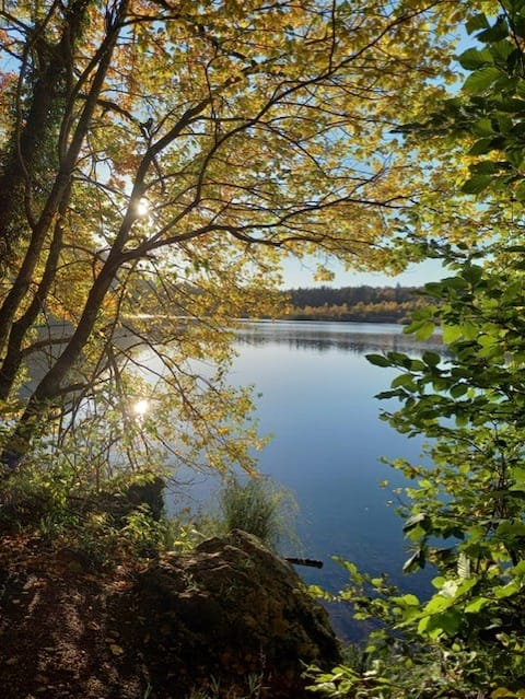Beautiful quiet apartment with lake view