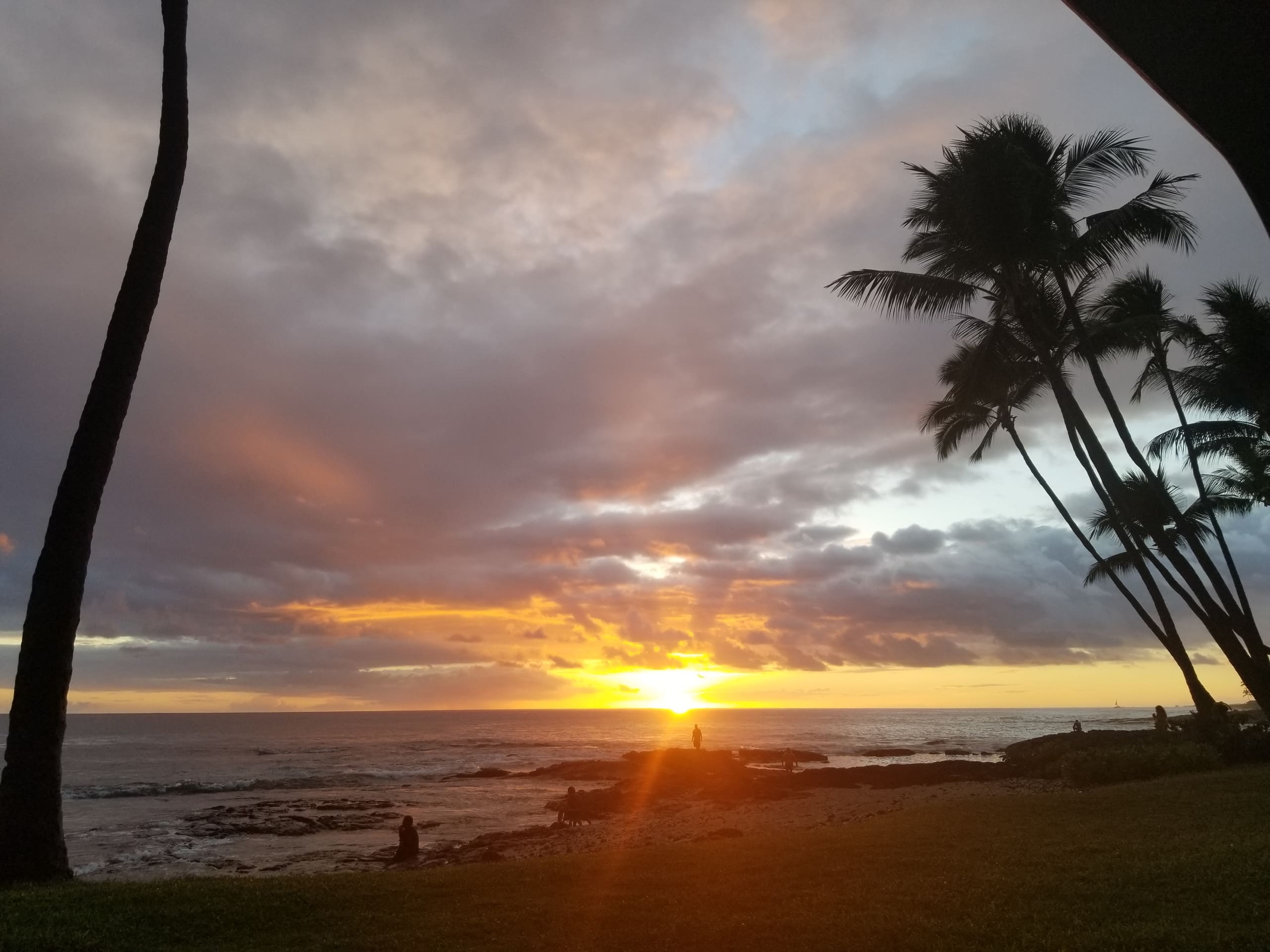 Condo in Kailua-Kona · ★4.91 · 1 bedroom · 1 bed · 1 bath - Image 22