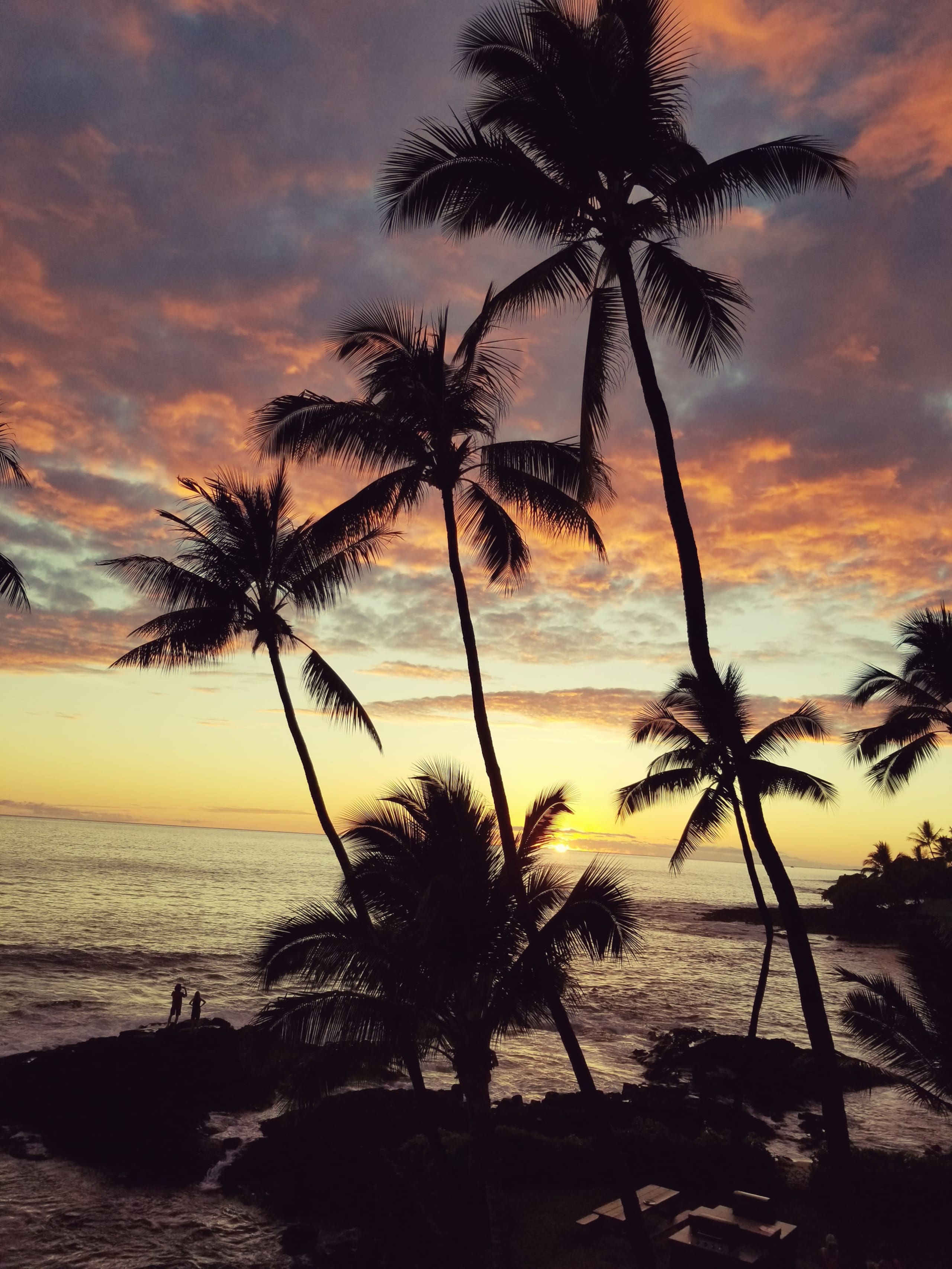 Condo in Kailua-Kona · ★4.91 · 1 bedroom · 1 bed · 1 bath - Image 1