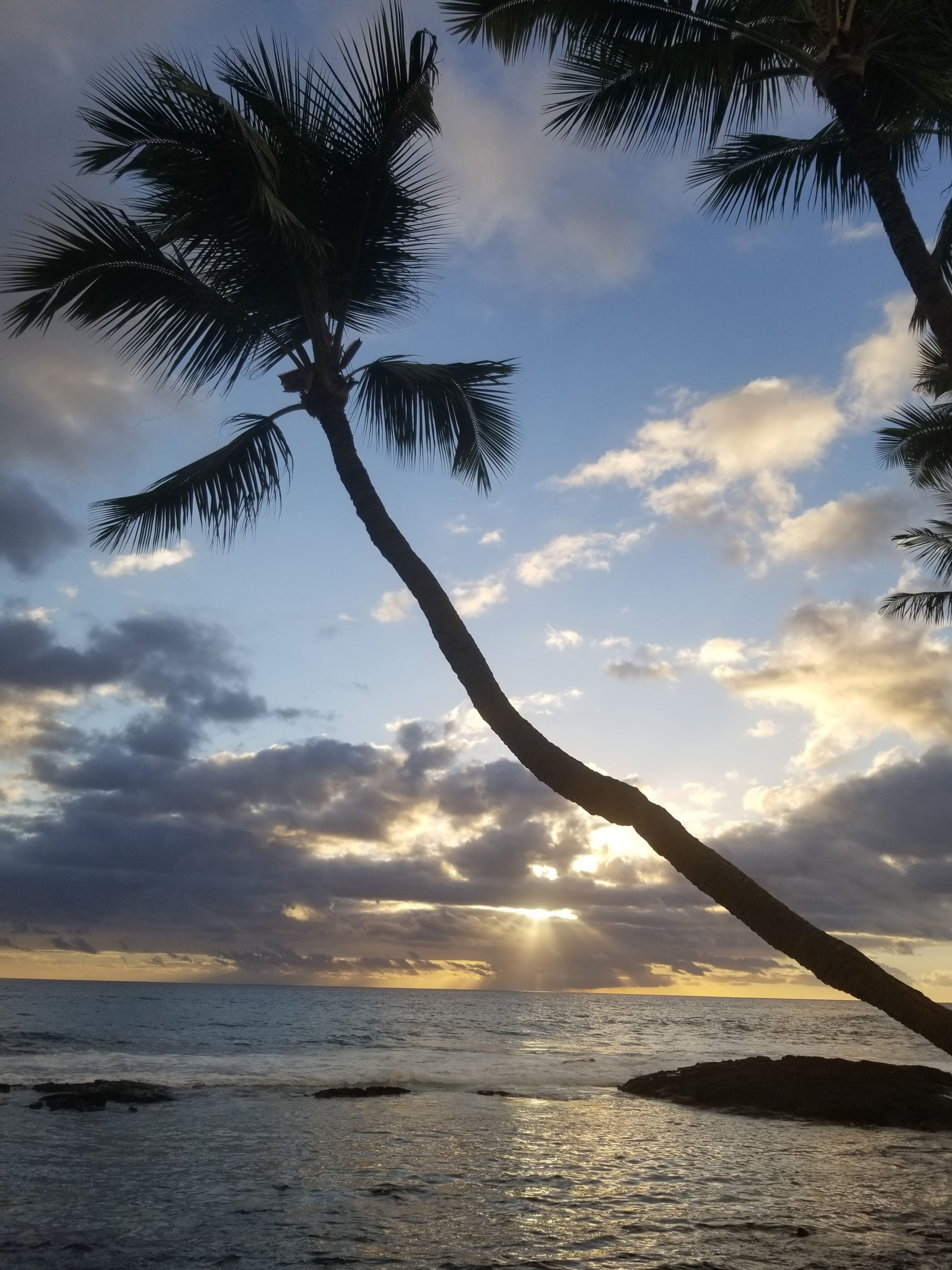 Condo in Kailua-Kona · ★4.91 · 1 bedroom · 1 bed · 1 bath - Image 16