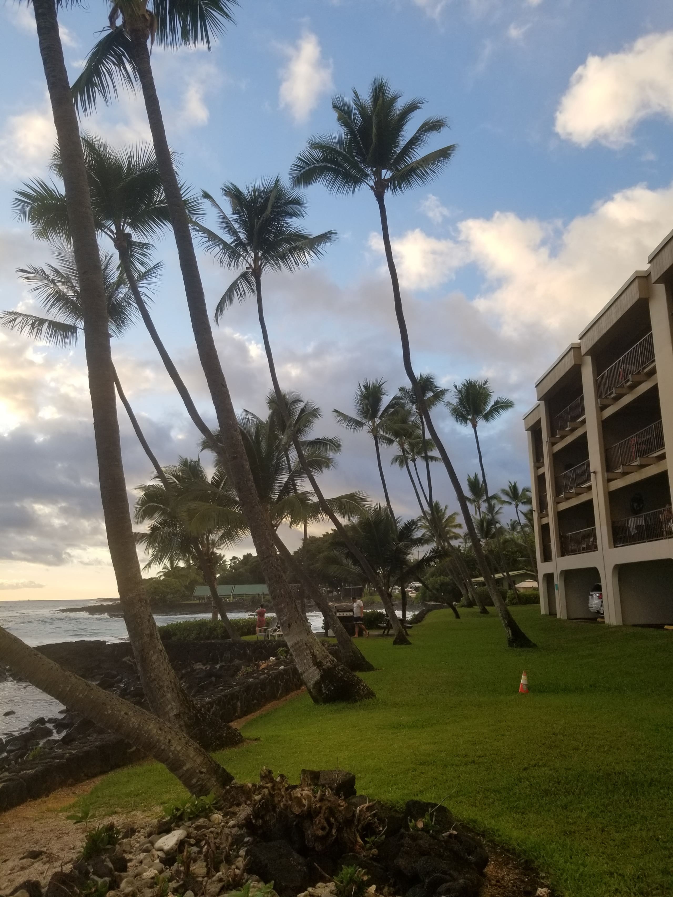 Condo in Kailua-Kona · ★4.91 · 1 bedroom · 1 bed · 1 bath - Image 24