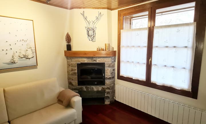 Acogedor Apartamento En El Valle De Arán - Vielha