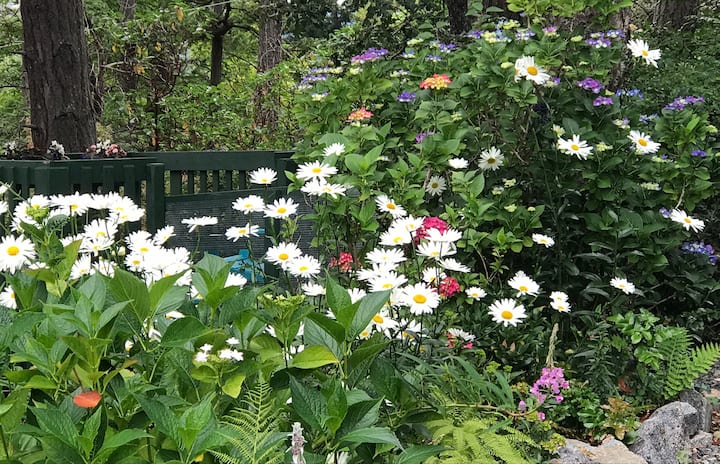 Lg.spacious/sea Glimpse/br/prv/quiet/nature/garden - Saanich