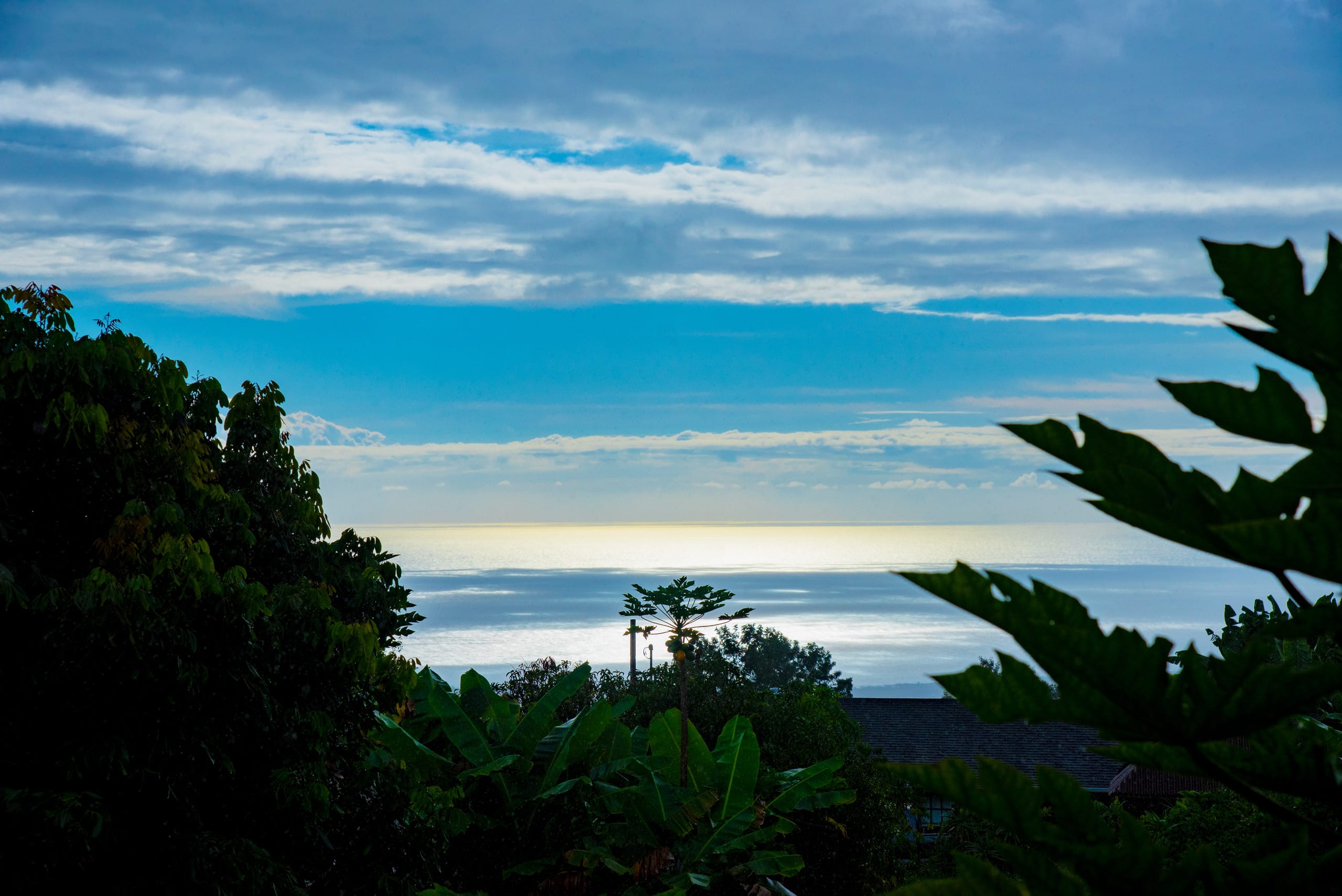 Home in Kailua-Kona · ★4.96 · 2 bedrooms · 2 beds · 1 private bath - Image 8