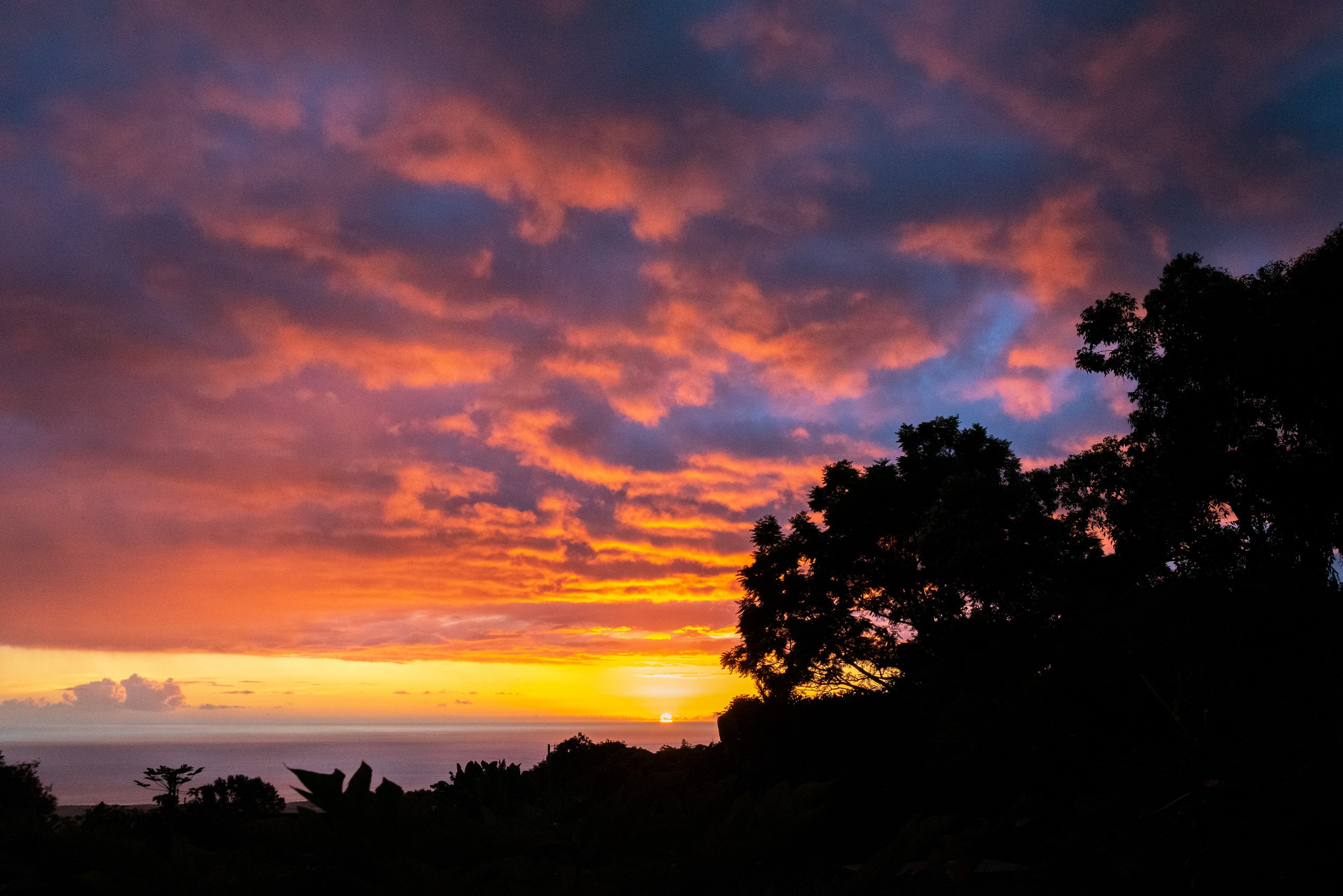 Home in Kailua-Kona · ★4.96 · 2 bedrooms · 2 beds · 1 private bath - Image 2