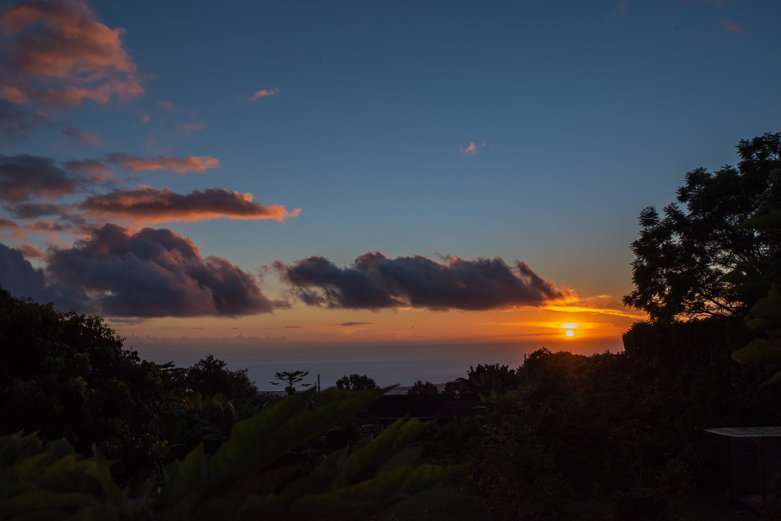 Home in Kailua-Kona · ★4.96 · 2 bedrooms · 2 beds · 1 private bath - Image 9